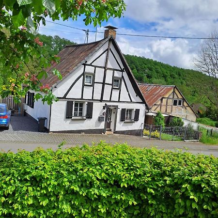 Landhaus Eifel Demerath Zewnętrze zdjęcie