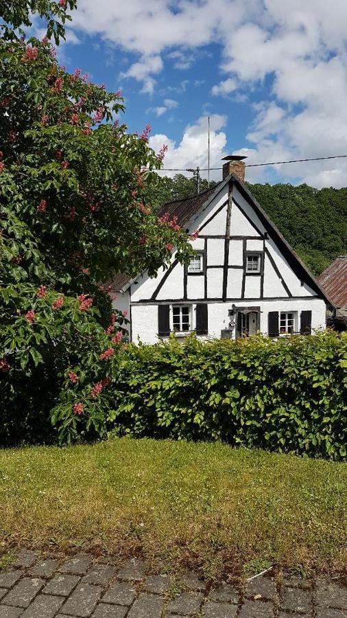 Landhaus Eifel Demerath Zewnętrze zdjęcie