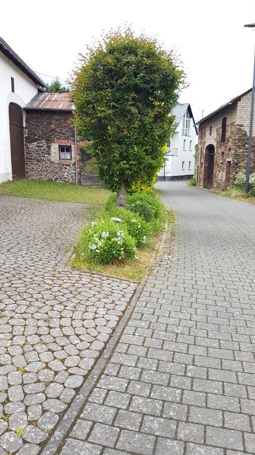 Landhaus Eifel Demerath Zewnętrze zdjęcie