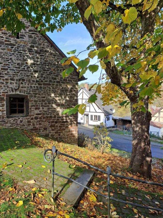 Landhaus Eifel Demerath Zewnętrze zdjęcie