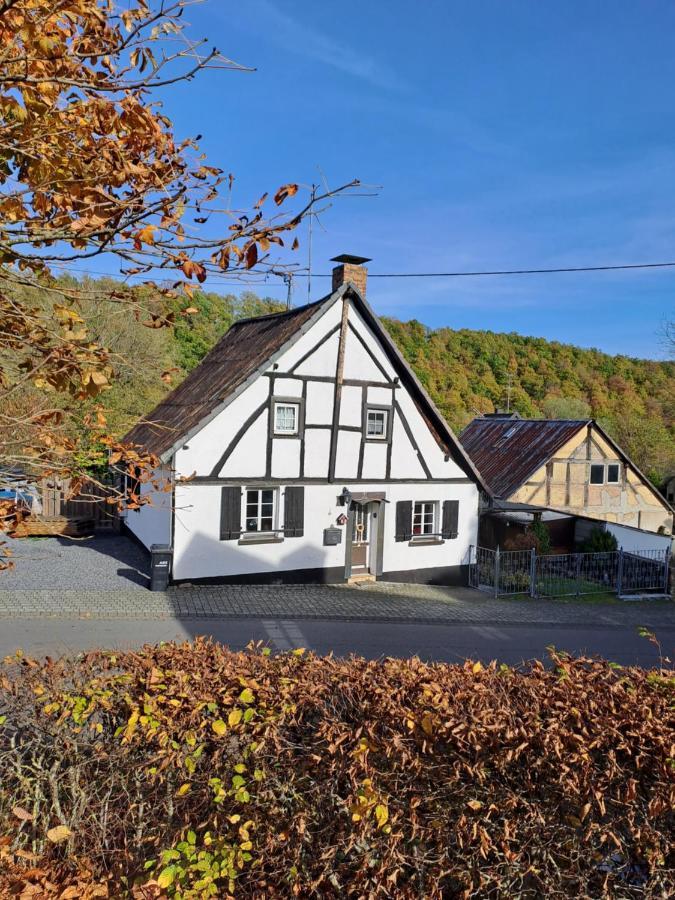 Landhaus Eifel Demerath Zewnętrze zdjęcie
