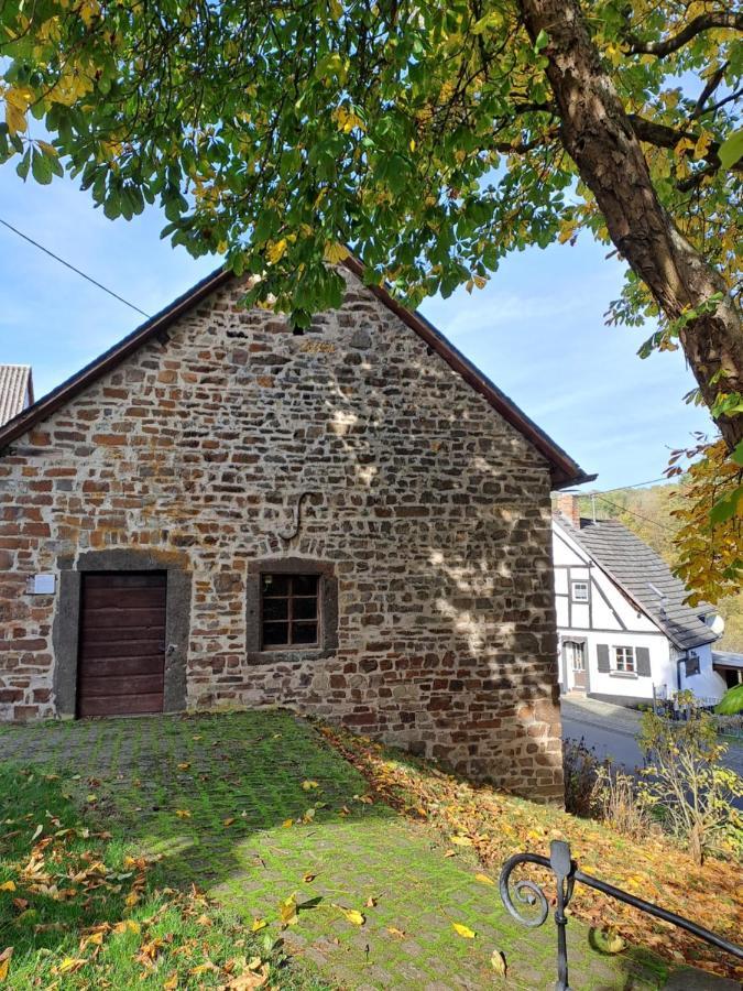 Landhaus Eifel Demerath Zewnętrze zdjęcie