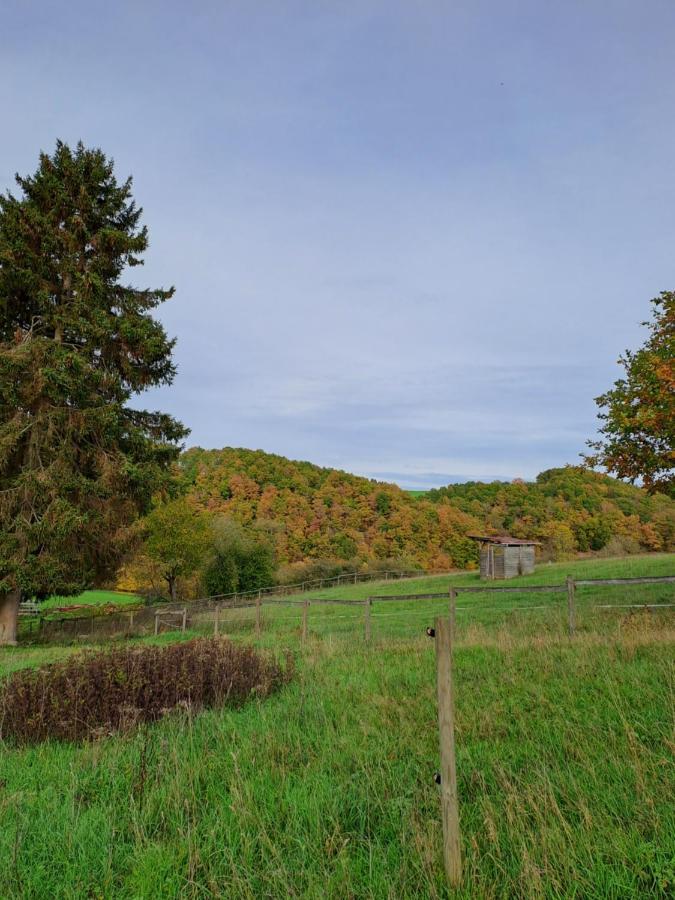 Landhaus Eifel Demerath Zewnętrze zdjęcie