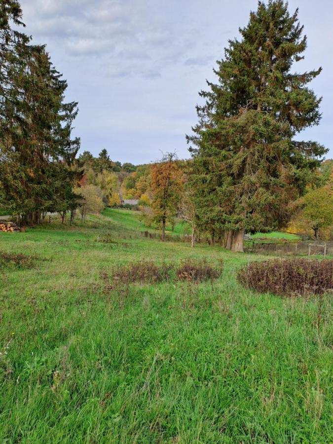 Landhaus Eifel Demerath Zewnętrze zdjęcie