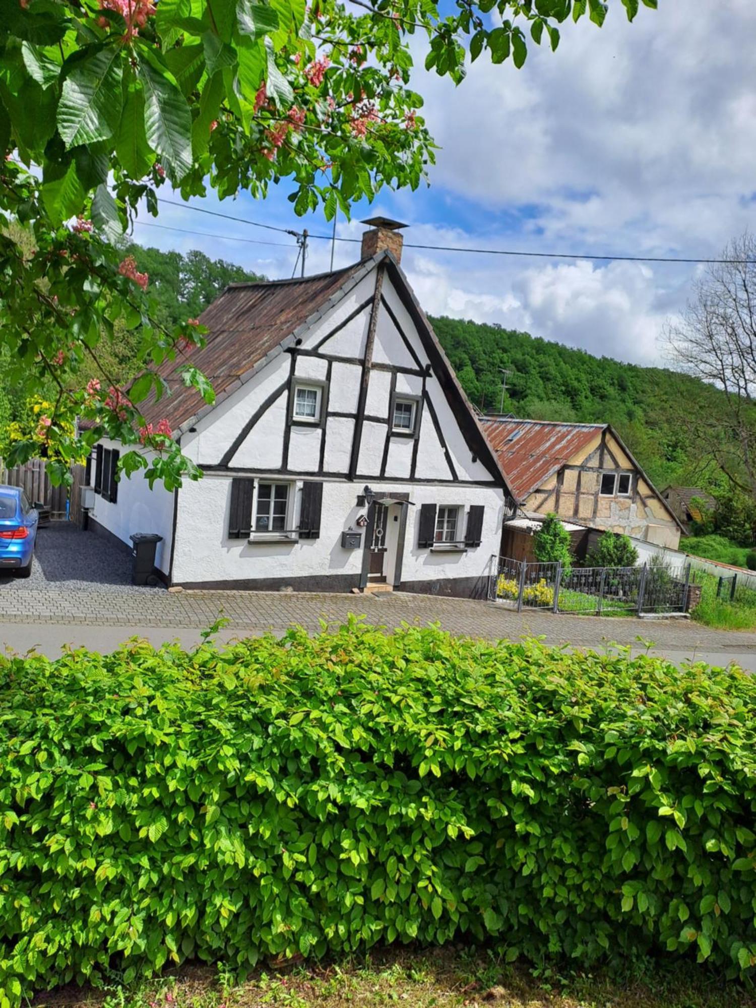Landhaus Eifel Demerath Zewnętrze zdjęcie